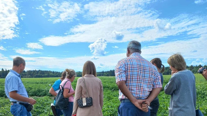 Селекционные достижения аграриев Архангельской области оценили в полевых условиях
